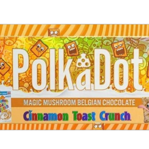 Polkadot Mushroom Cinnamon | Polkadot magic Belgian chocolate